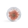 Suszone kwiaty Koralowe JN Flowernesski-6174