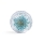 Suszone kwiaty Turkusowe JN Flowernesski-6170