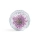 flowenesski.webp