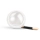 5488.webp