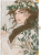 bezowy-L.png