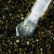 elarto_top_dry_top_gold_flakes_closeup.webp