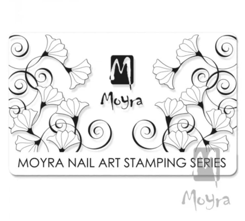 Scraper Moyra  11 /transparentny-4339