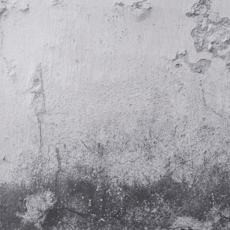 Tło Fotograficzne BETON b.JPG