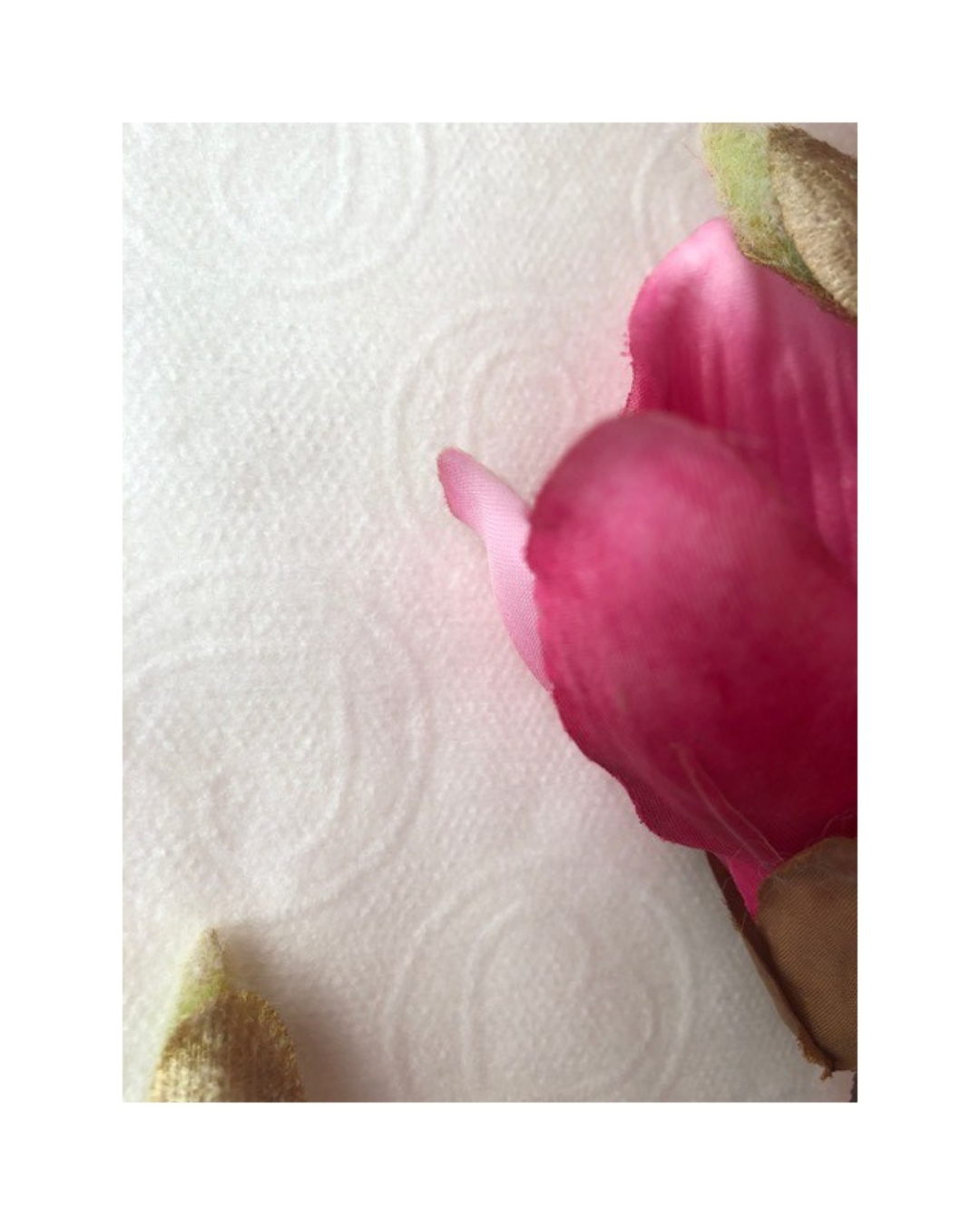 Wlokninowe - serce.png